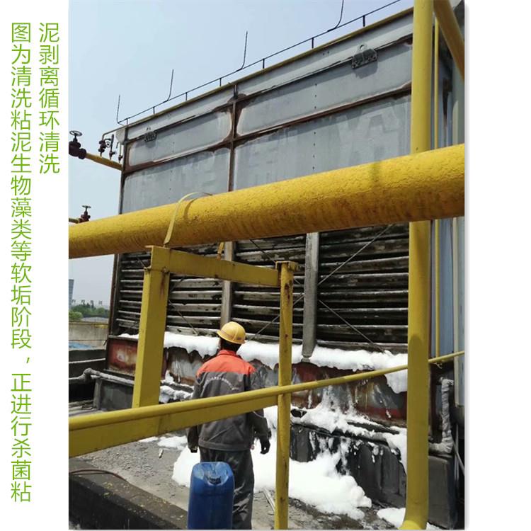 蒸发式冷凝器大香蕉导航网址1_副本.jpg