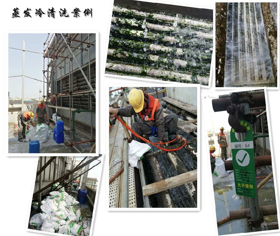 蒸发式冷凝器大香蕉导航网址案例.jpg