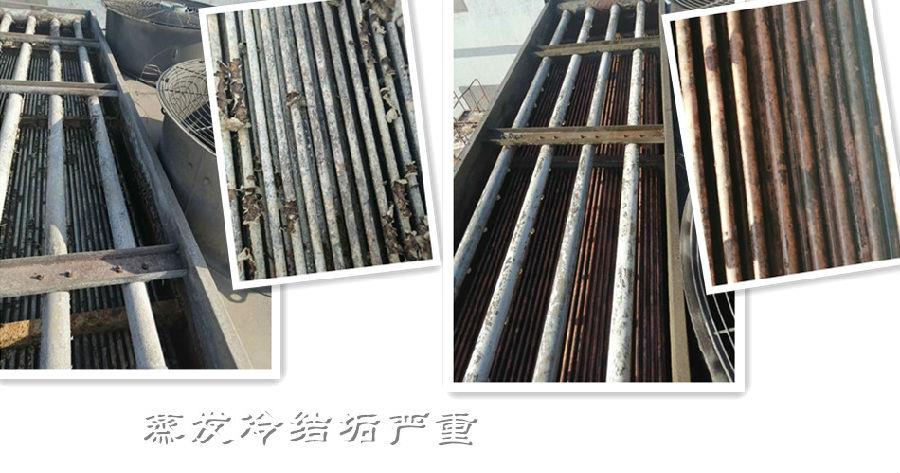 蒸发冷大香蕉导航网址3-1.jpg
