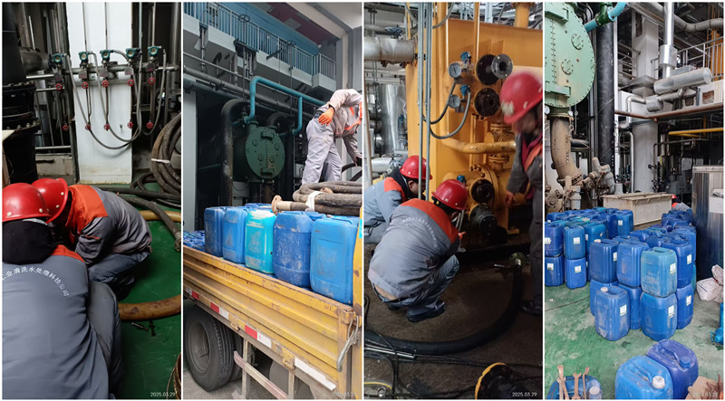 凝汽器、冷油器大香蕉导航网址-组合